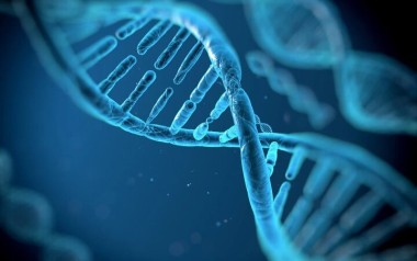 Trung Quốc giải trình tự gen 1% dân số thế giới để tìm cách sống lâu