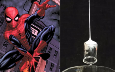 Các nhà khoa học vô tình 'nhái' được siêu năng lực của Spider-Man!