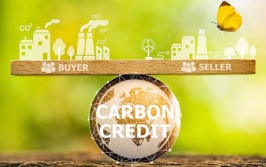 Sẽ có hai loại hàng hóa được giao dịch trên thị trường carbon