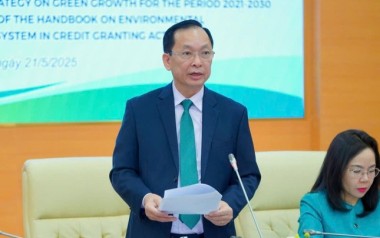 Vì sao nhiều ngân hàng đứng ngoài cuộc tín dụng xanh?