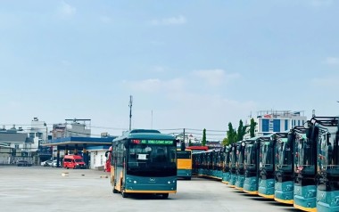 37 tuyến xe buýt mới, sử dụng năng lượng xanh được khai thác tại TP Hồ Chí Minh
